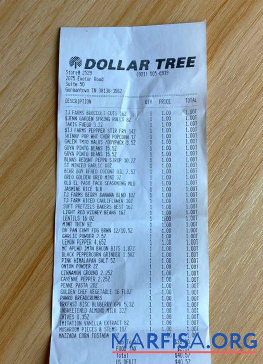 Realistic Dollar tree store payment receipt sample